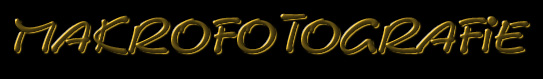 Makrofotografie